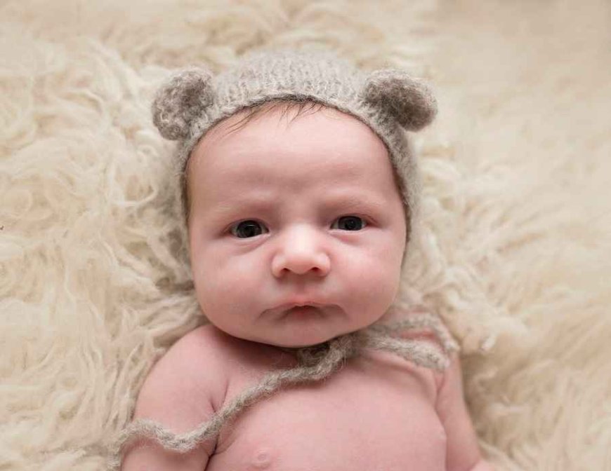 Capturing Precious Moments: The Art of Newborn Portrait Photography
