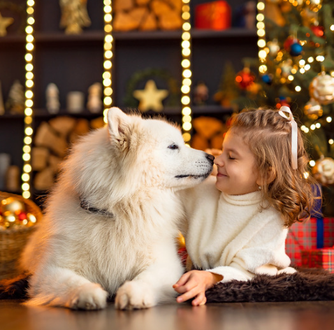 Capturing the Holiday Spirit: Christmas Pet Photography Tips and Ideas