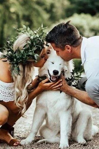 Capturing the Love: Wedding Photography with Dogs