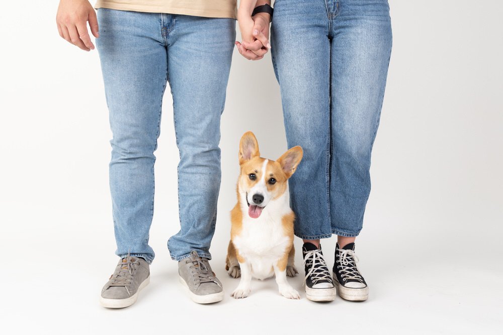 The Pawfect Family Portrait: Capturing Memories with Dogs in Family Photography